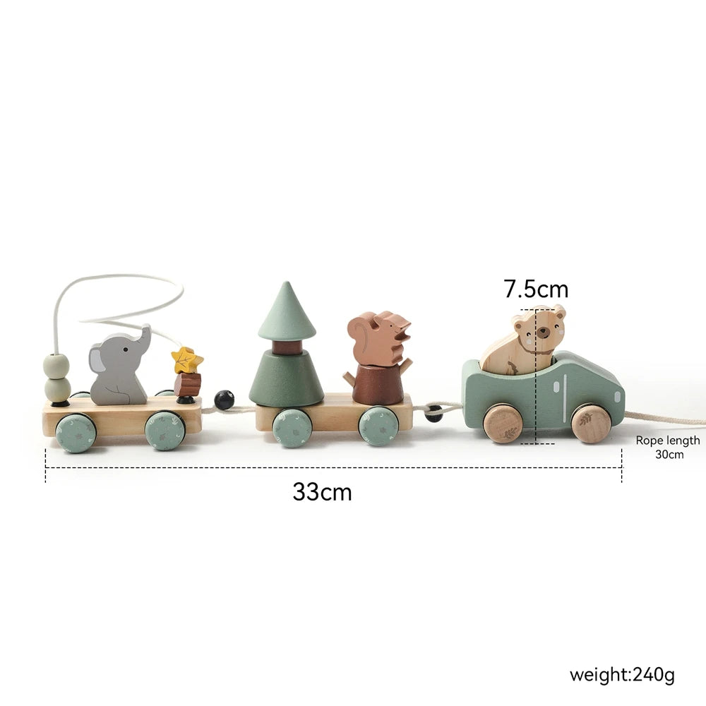 Tren de Madera para Bebés